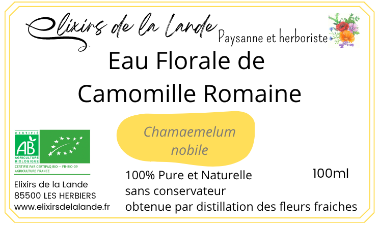 Eau Florale de Camomille Romaine – Image 3