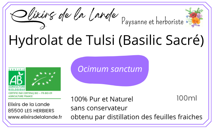 Hydrolat de Basilic Sacré - Tulsi – Image 2